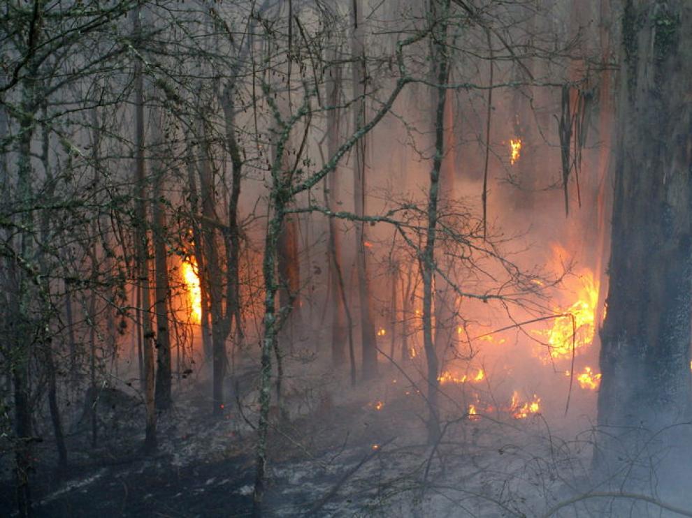 Un bombero trata de acabar con el fuego