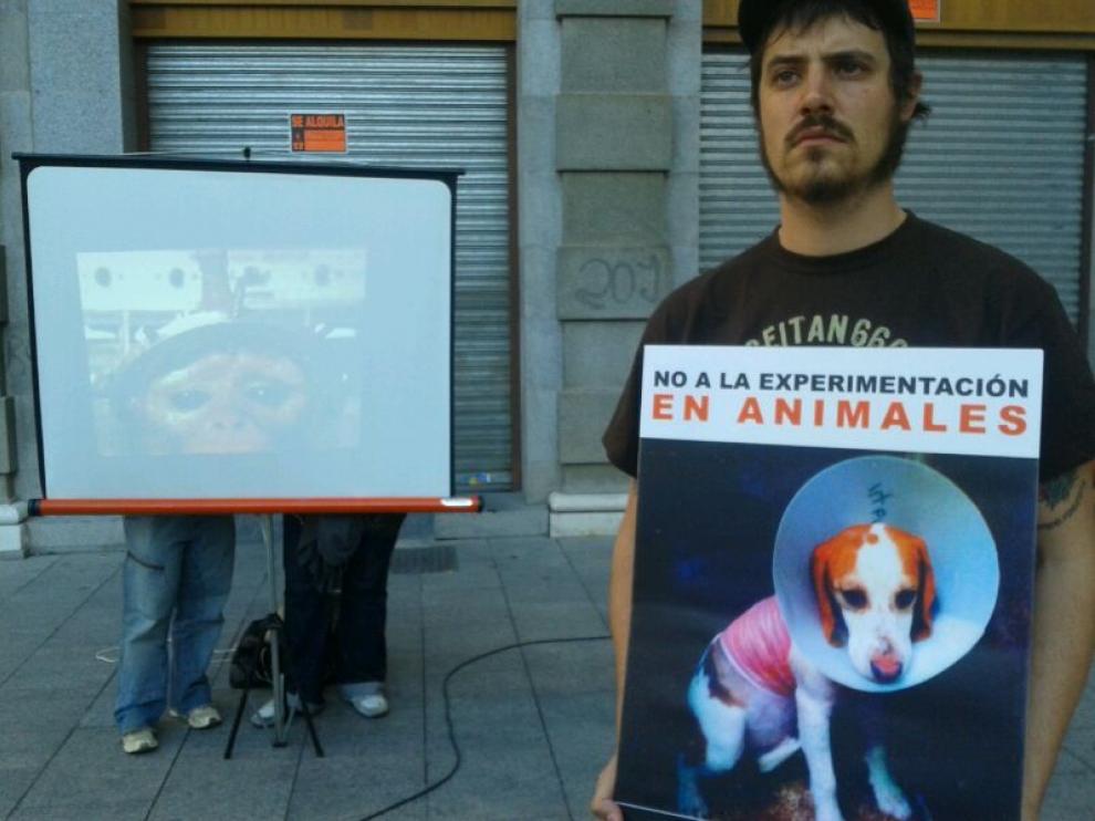 Las proyecciones se han realizado en la plaza de España de Zaragoza