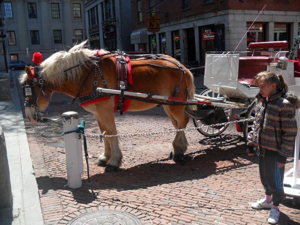 Aitana durante uno de sus paseos por Boston