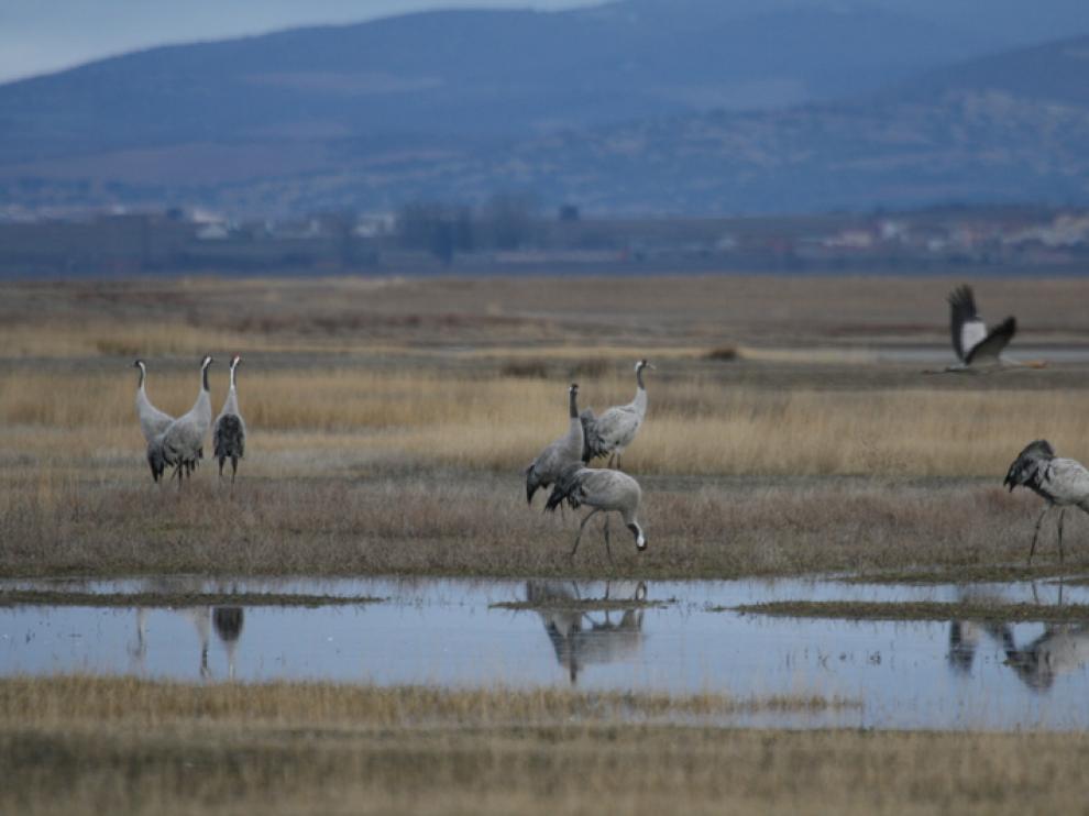 La laguna de Gallocanta