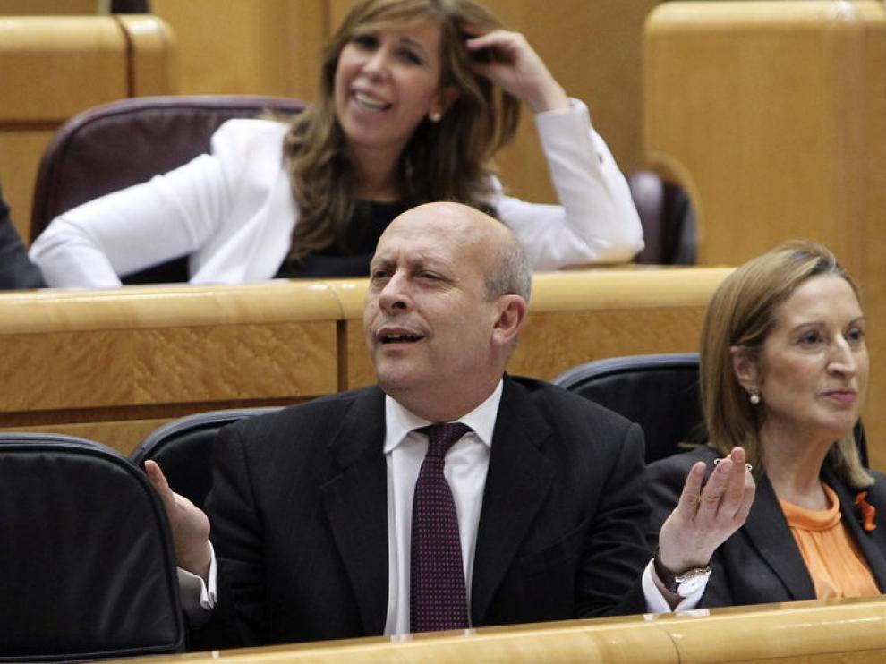 El minsitro de Educación en el Senado