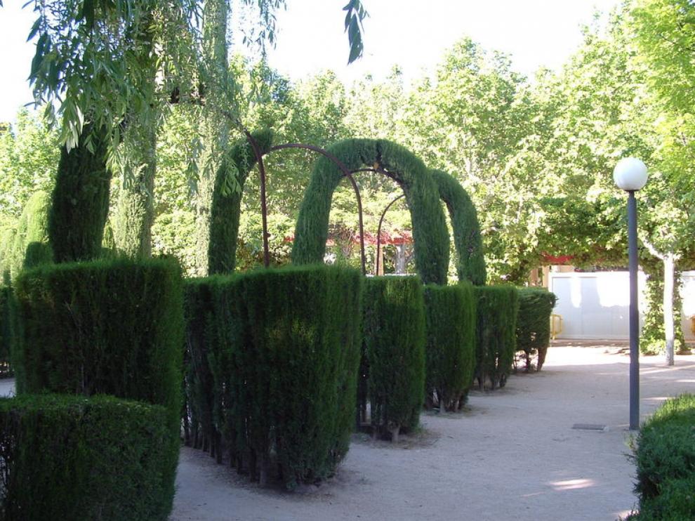 Chopos situados junto al estanque de la Leona, donde pueden verse cómo algunos de los arcos de sujección de los mismos se han quedado desnudos