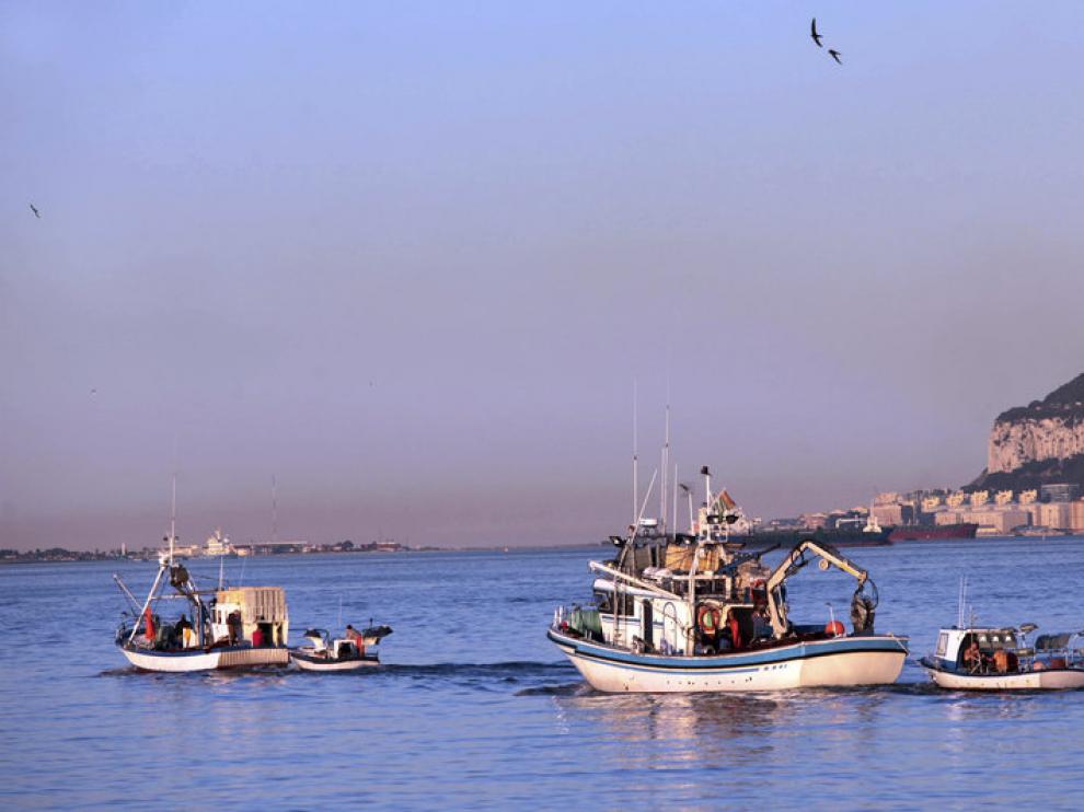 Pesqueros en el puerto de Algeciras