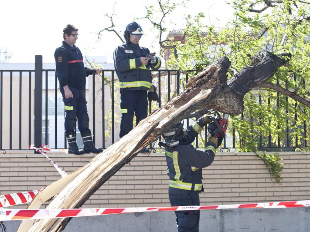Bomberos de Zaragoza