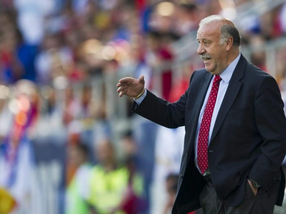 El seleccionador español, Vicente Del Bosque.