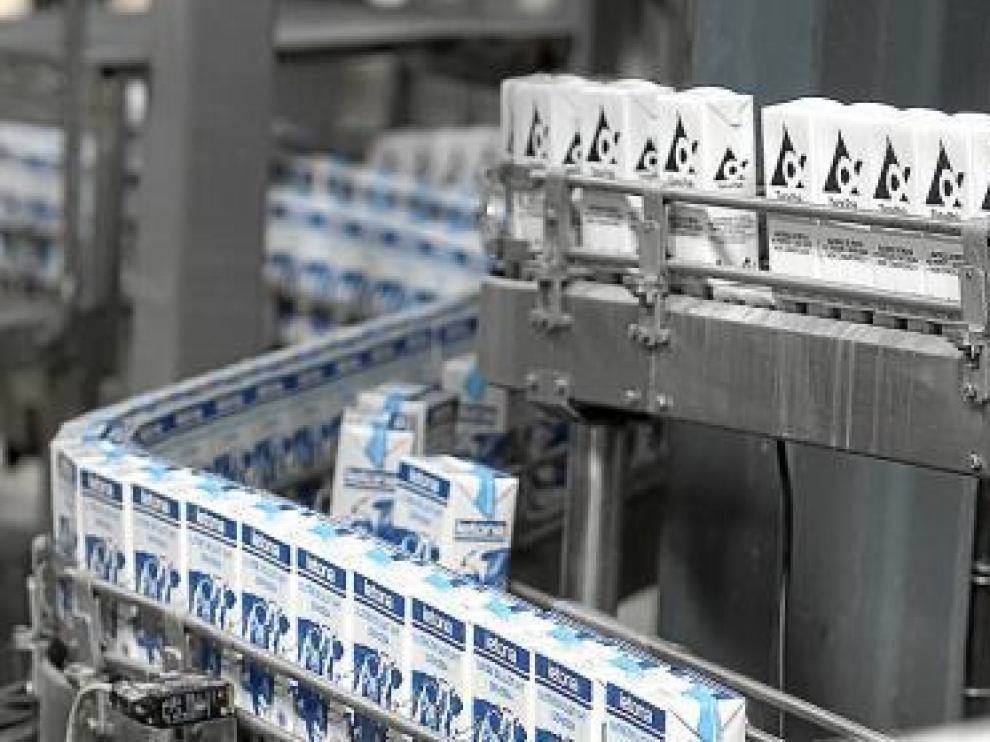 Imagen de la planta de Cacaolat