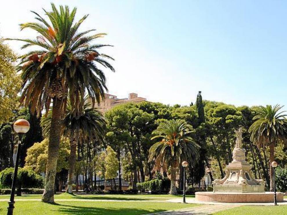 Árboles singulares en el Parque Grande.