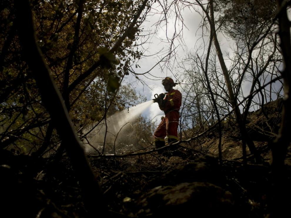 Un bombero trabaja para extinguir el fuego en Ojén.