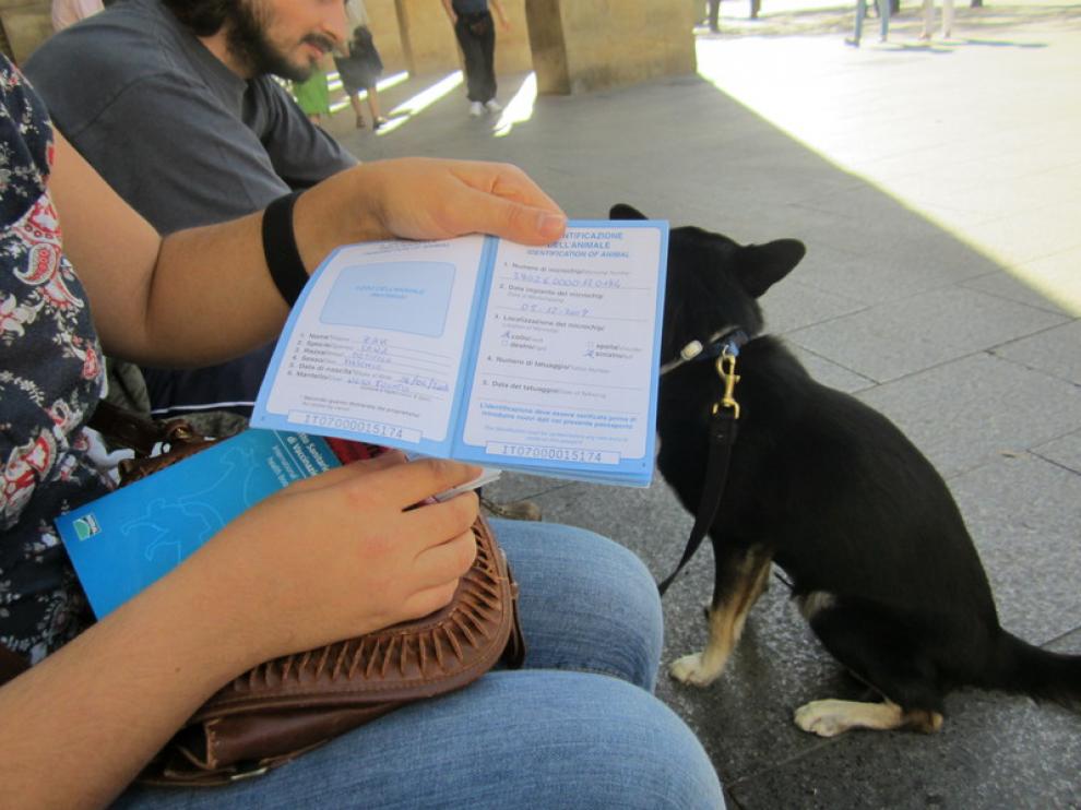 Una mascota con pasaporte italiano.