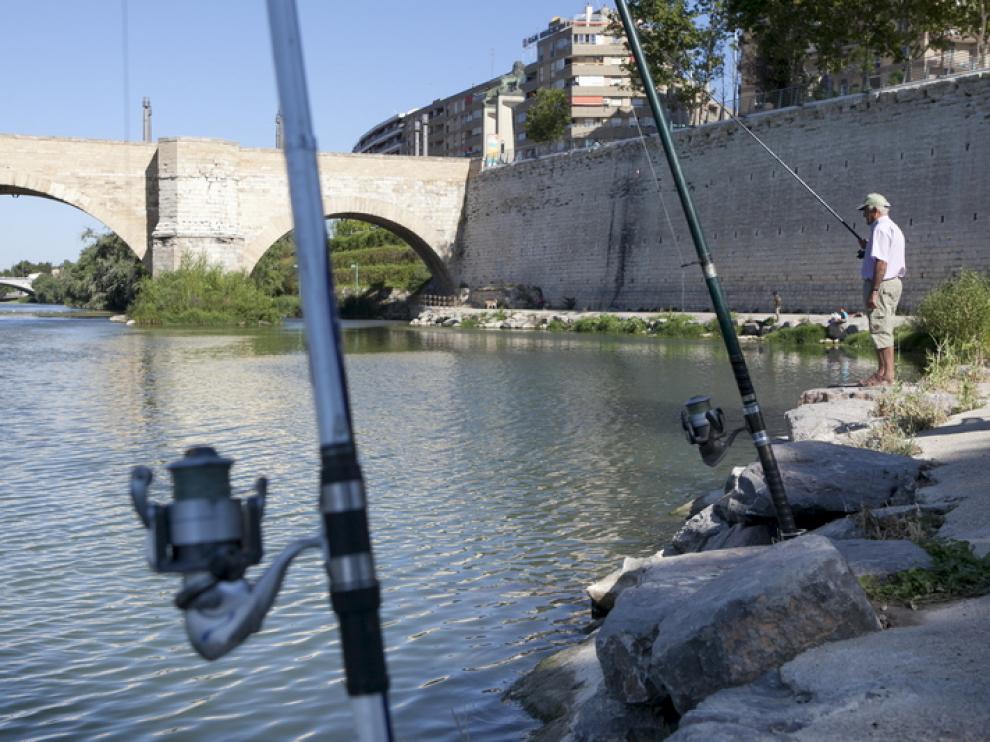 Pescadores en Zaragoza