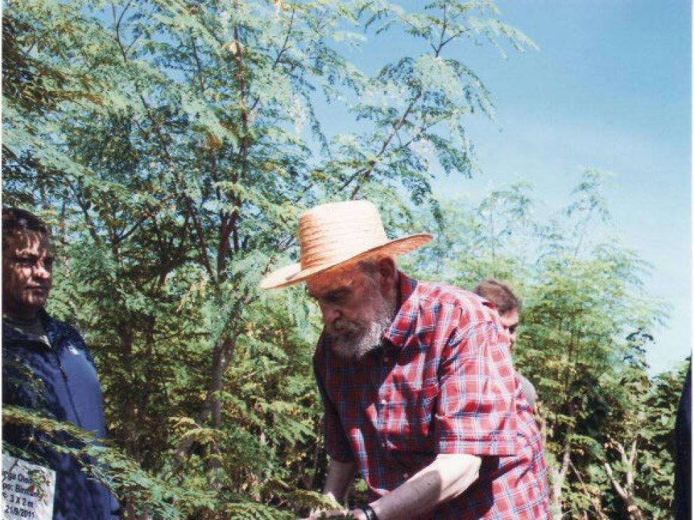 El expresidente de Cuba caminando entre un cultivo.
