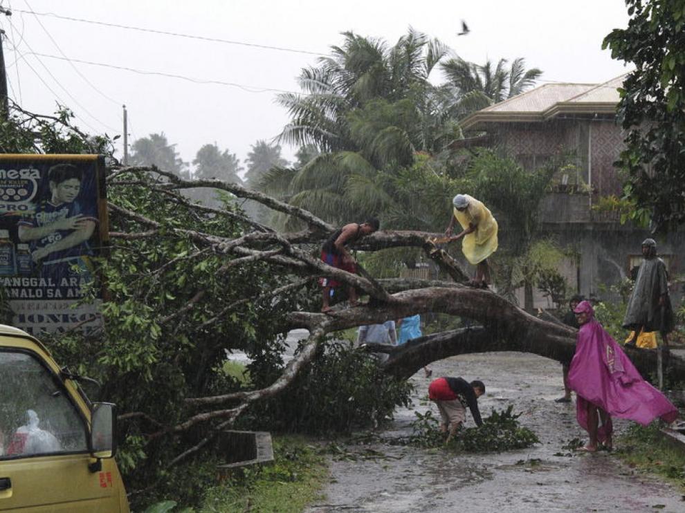 Un grupo de personas intenta cortar las ramas de un arbol caído por el temporal.