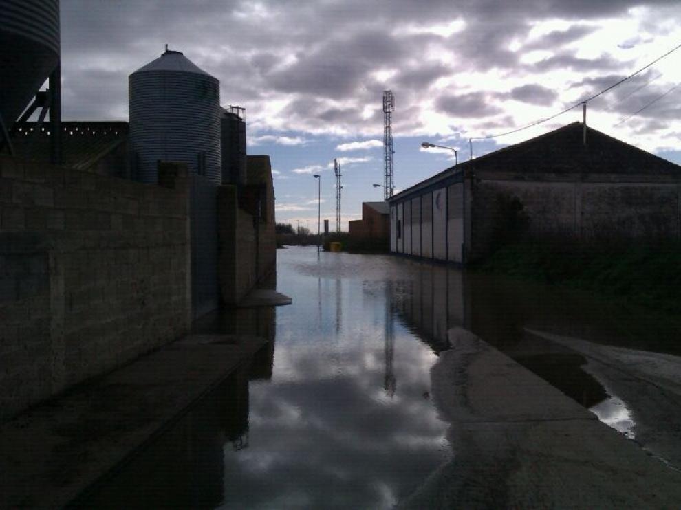 Crecida del Ebro en Novillas