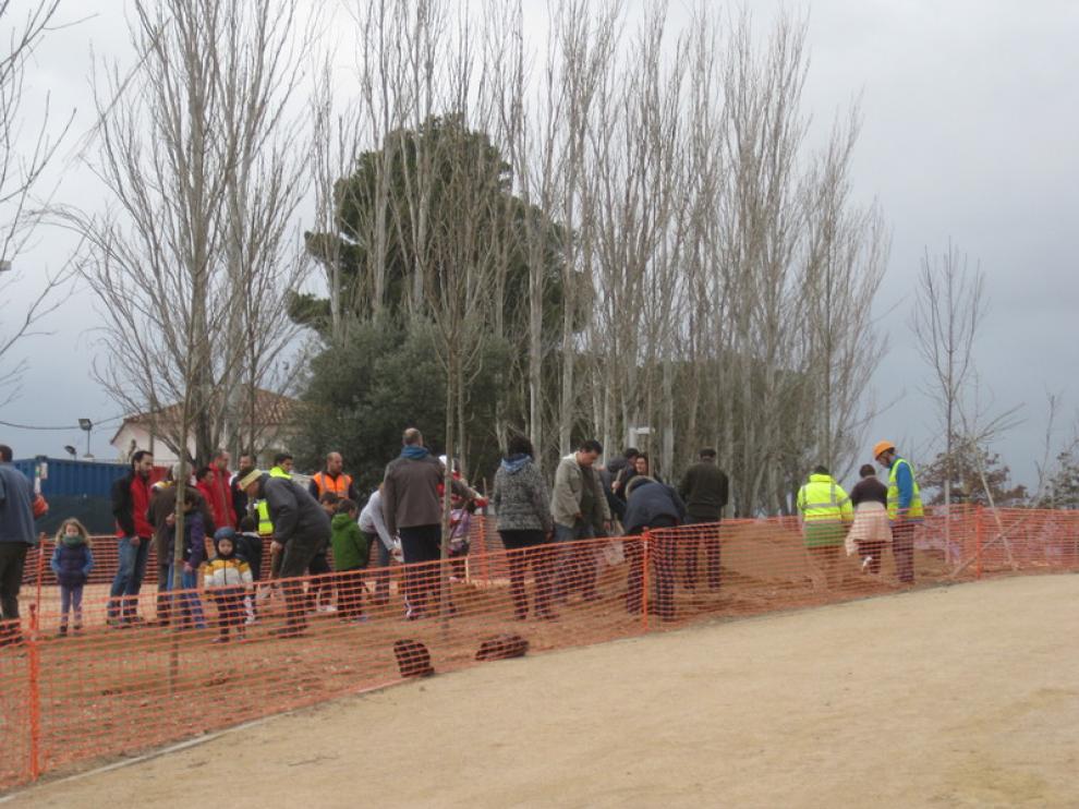 Plantación de árboles en el Parque Oliver