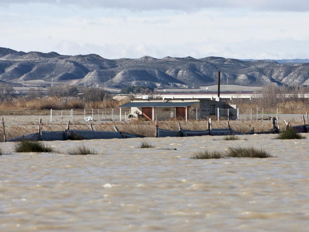 Imagen de la crecida del Ebro en la Ribera Baja.