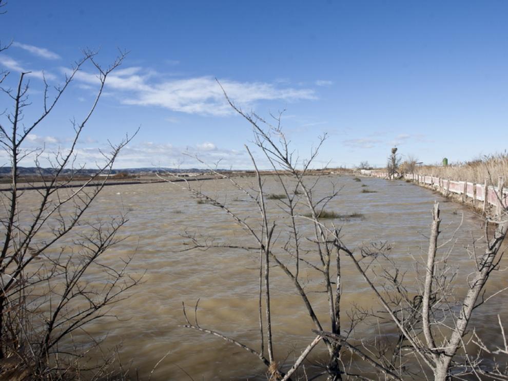Imagenes de la ultima crecida del Ebro