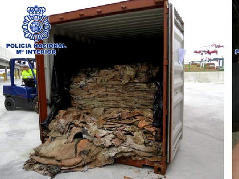 La droga estaba ocultos en pieles de bovino camufladas en el interior de un contenedor