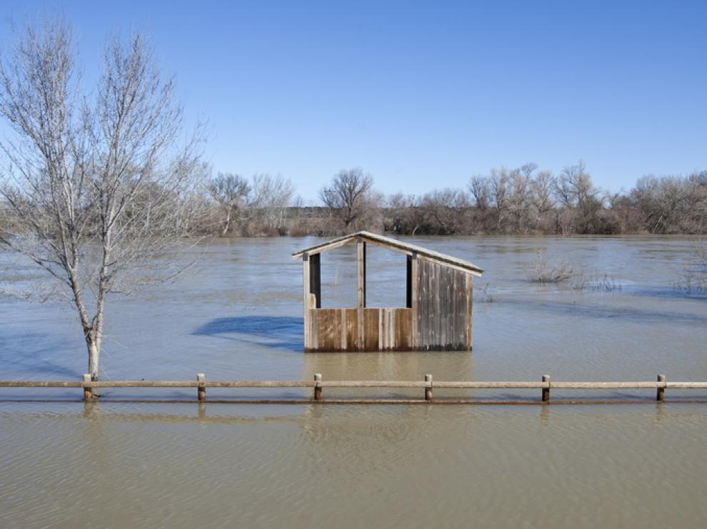 El Ebro inunda numerosas hectáreas en Novillas