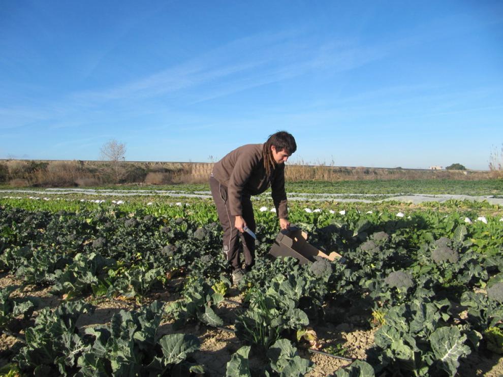 Un agricultor de Movera