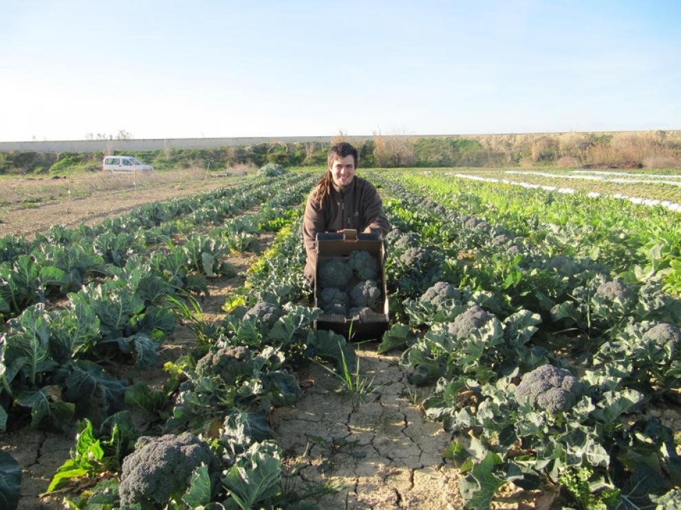 Mario Murua, agricultor de Sabores Próximos
