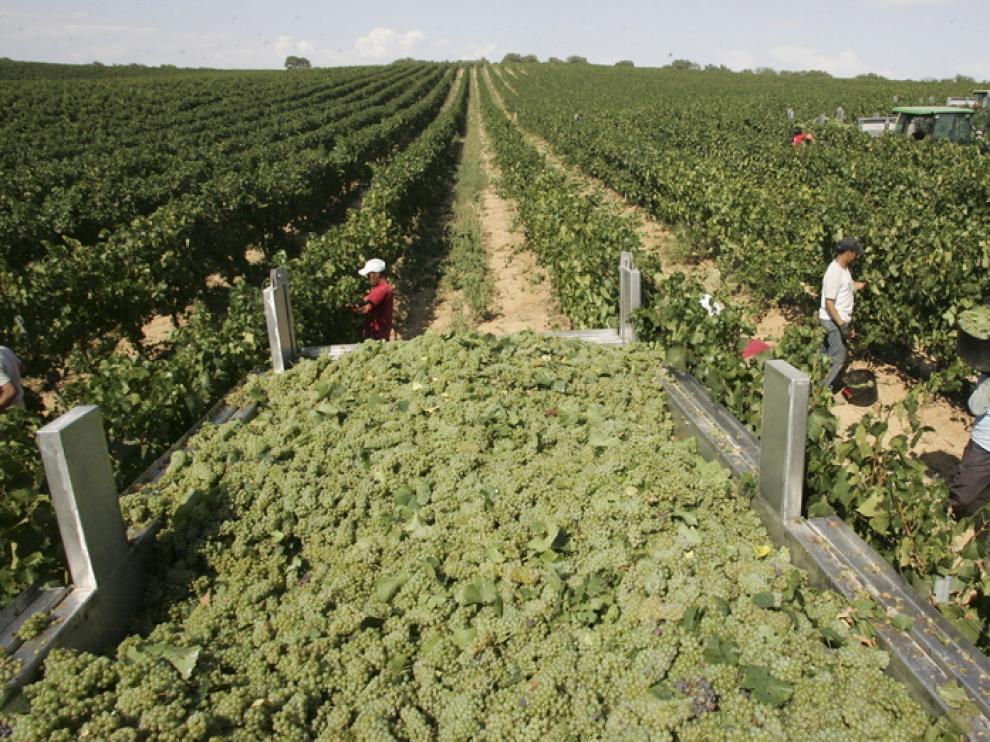 Aragón exportó en 2012 más de 18 millones en vino y otras bebidas a EE. UU.