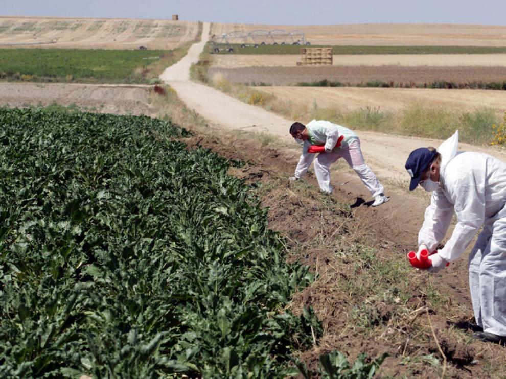 Unos agricultores oscenses.