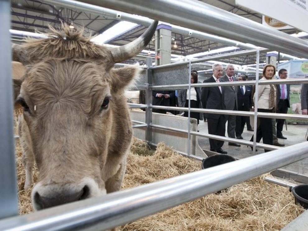 Feria Internacional de Producción Ganadera