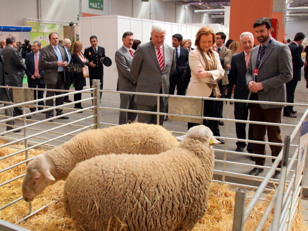 La Feria Internacional de Producción Animal de Zaragoza.