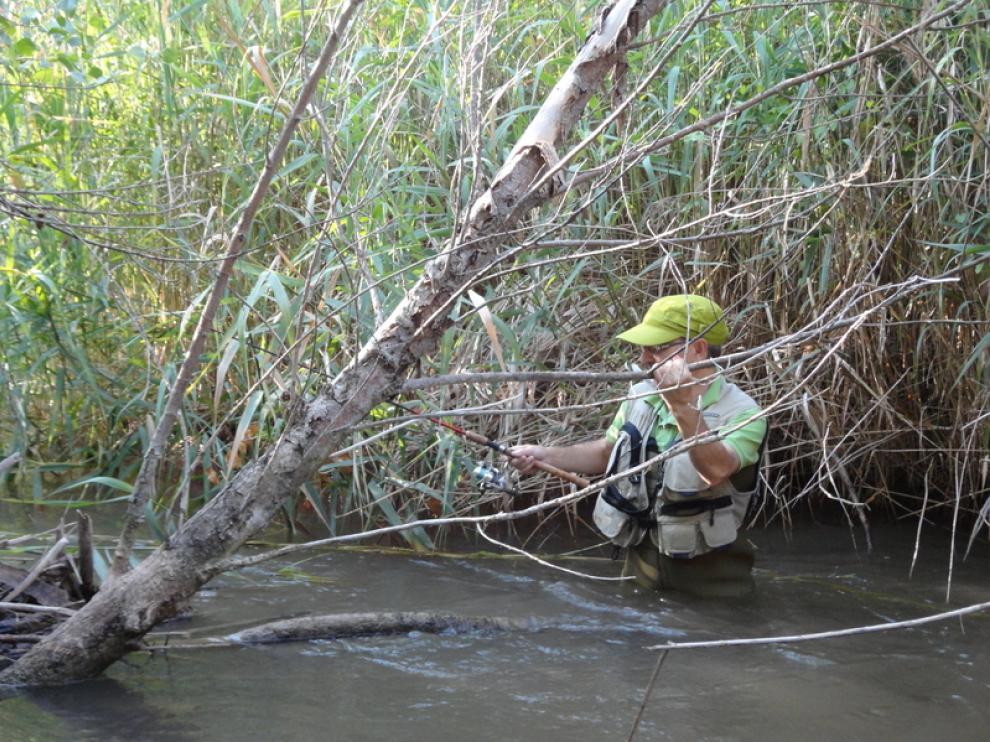 Pescando en el río Jiloca