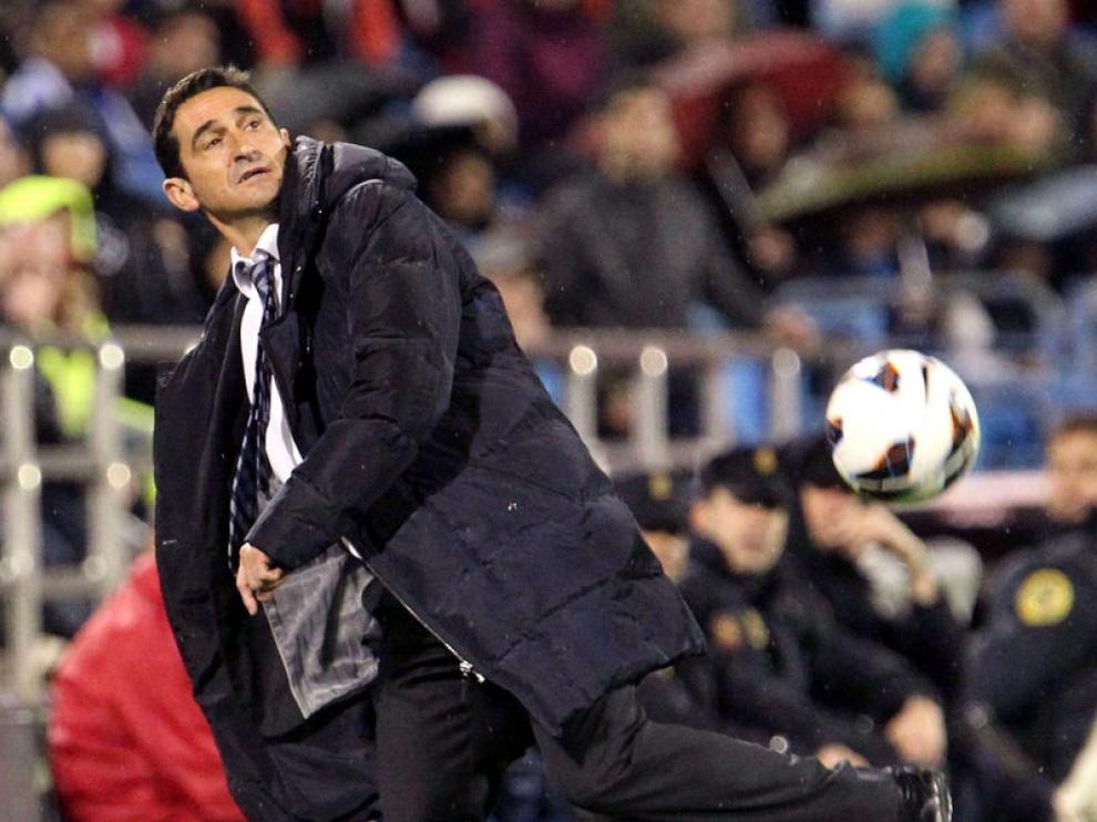Manolo Jiménez durante un partido del Real Zaragoza