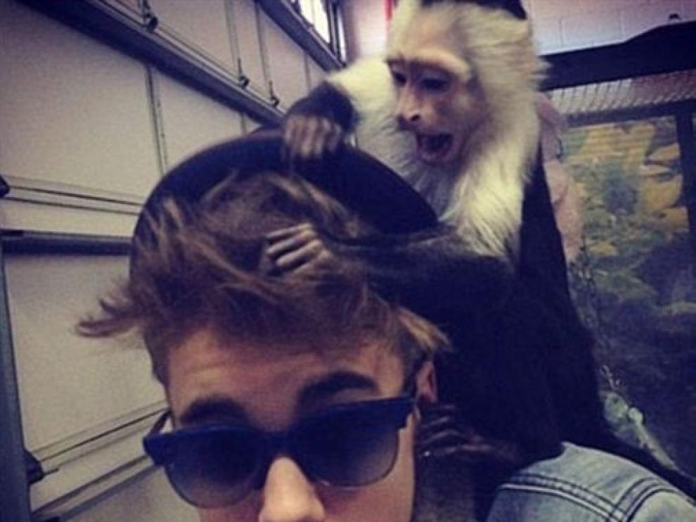 Justin Bieber y su mono capuchino