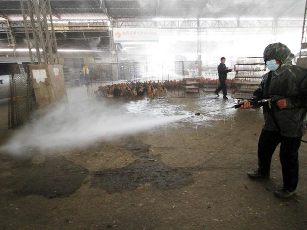 Casos de gripe aviar en China.
