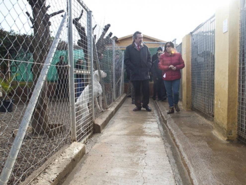 Visita de Belloch al Centro de Protección Animal de Peñaflor en enero