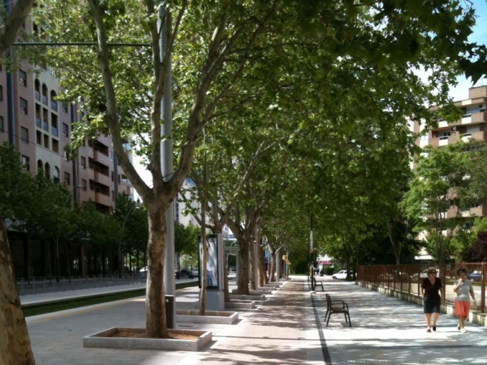 El nuevo carril bici en el Actur