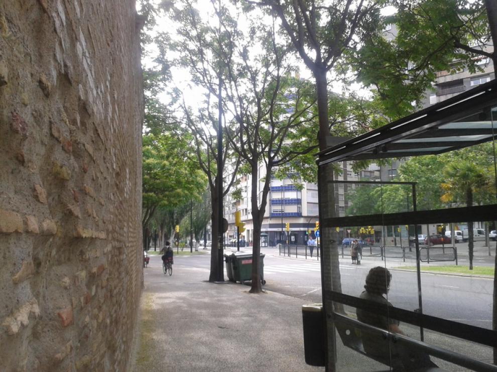 Árboles en la calle de Asalto de Zaragoza