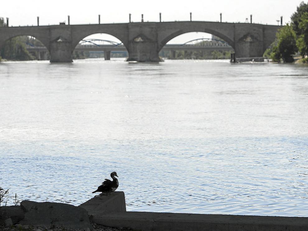 Imagen del río Ebro