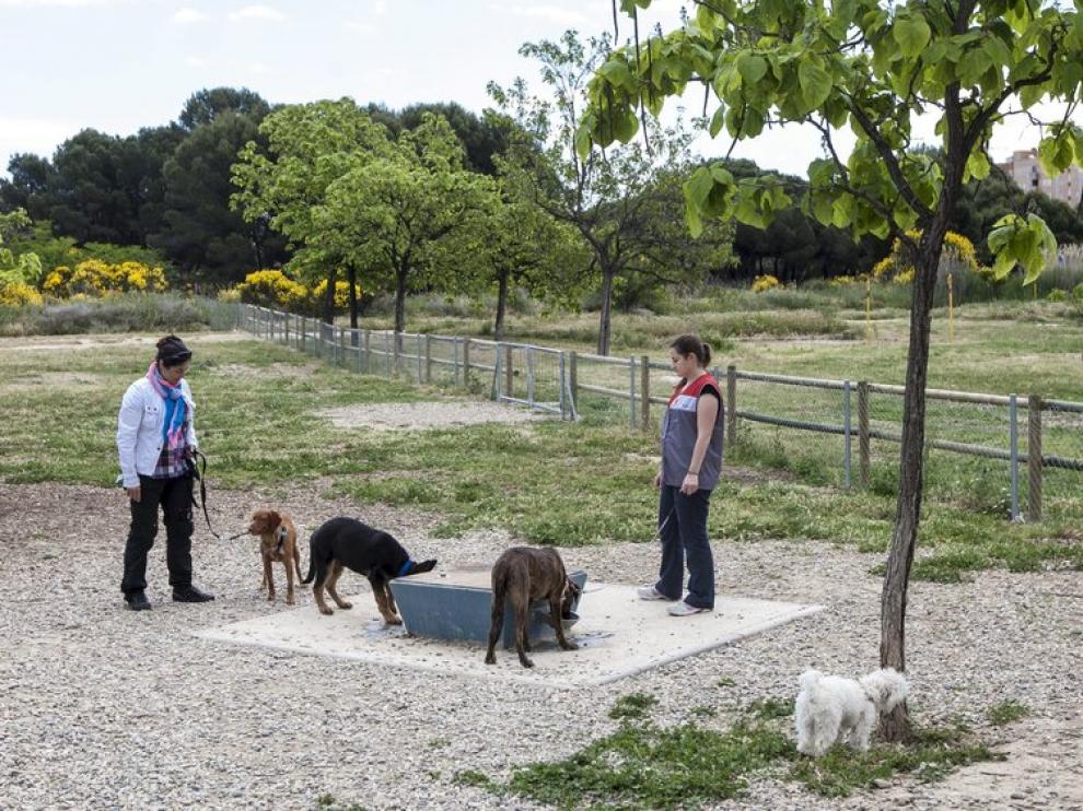 Parque de los Cineastas, donde pueden ir los perros sueltos