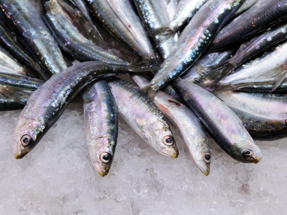 El agua de mar pura ayuda la conservación y lavado del pescado