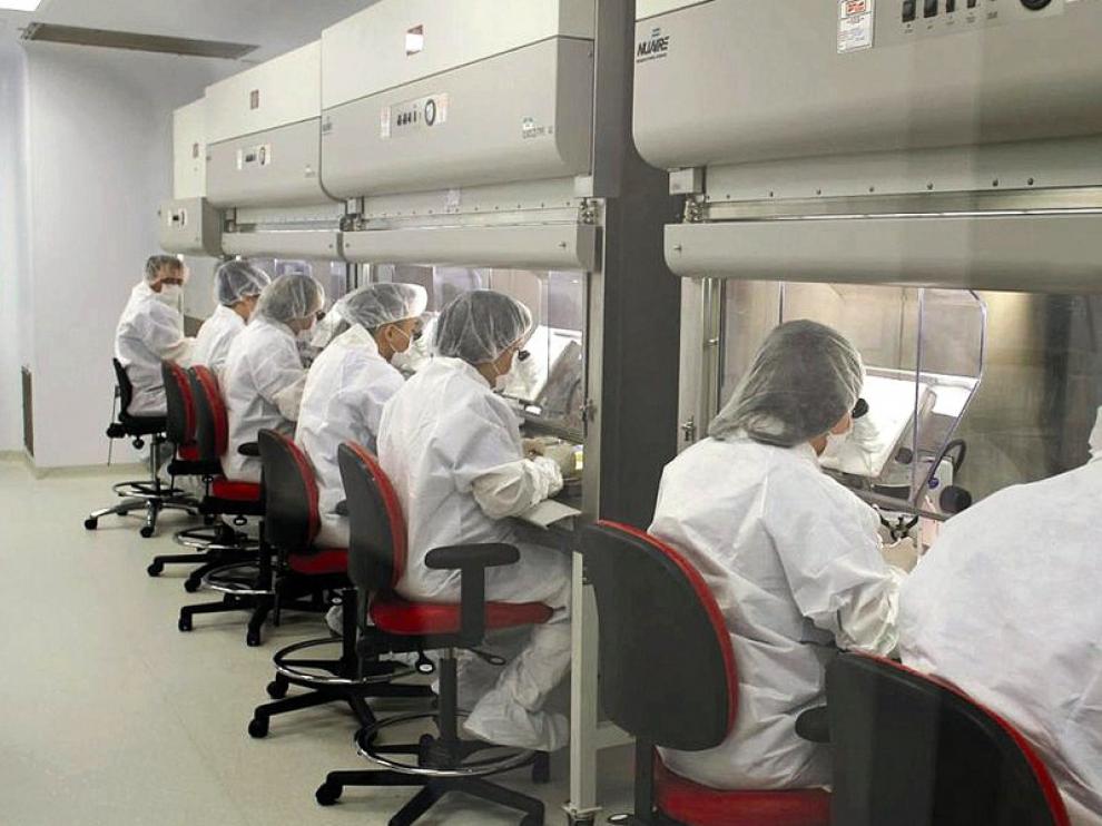 Investigan una vacuna contra la malasia