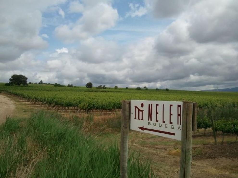 Bodegas Meler, una empresa familiar barbastrense de toda la vida