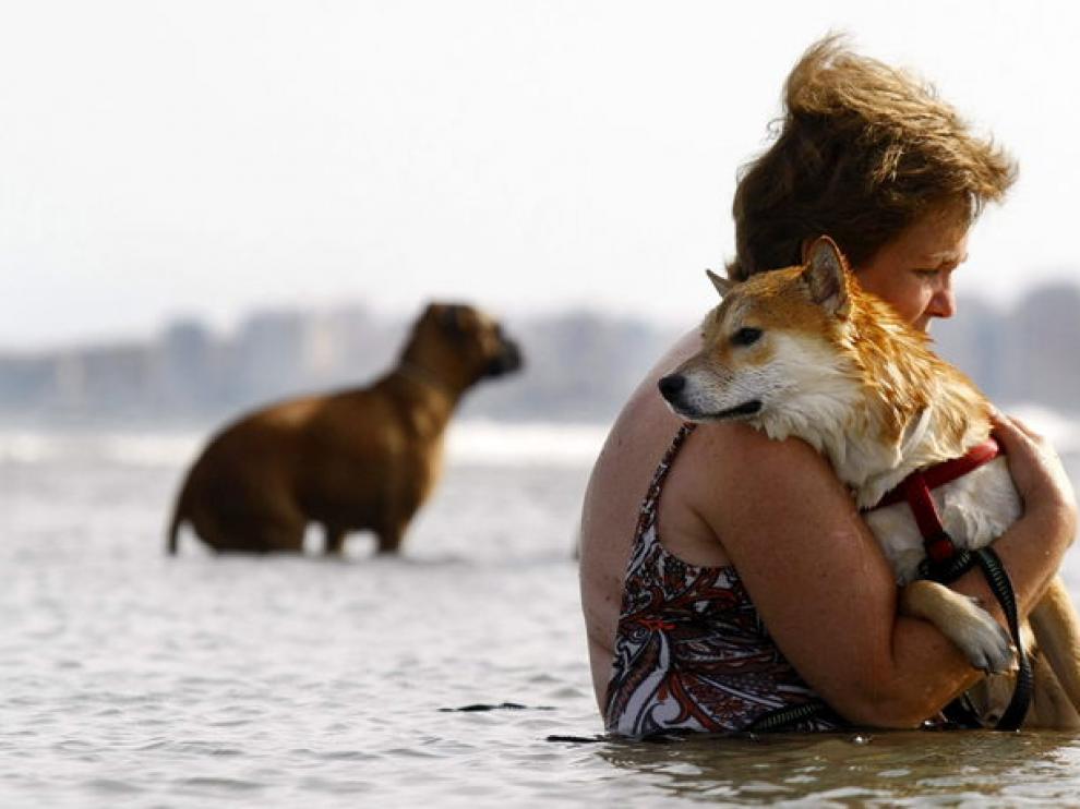 Una mujer se baña en el mar con su perro en El Campello