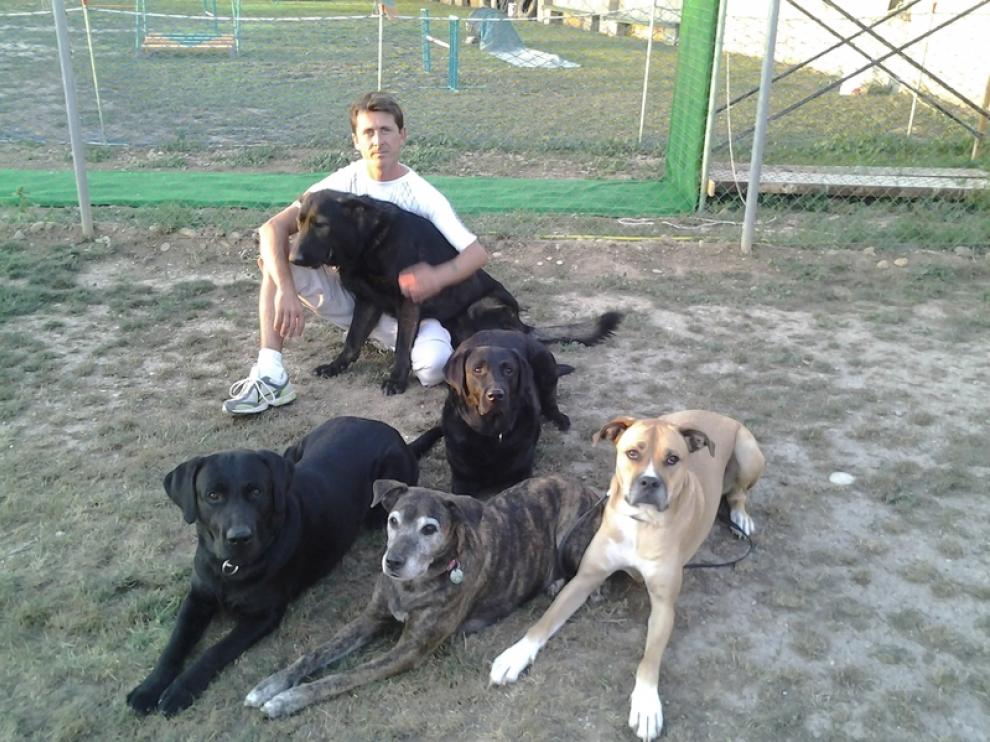 El centro canino Sedecan en Zaragoza