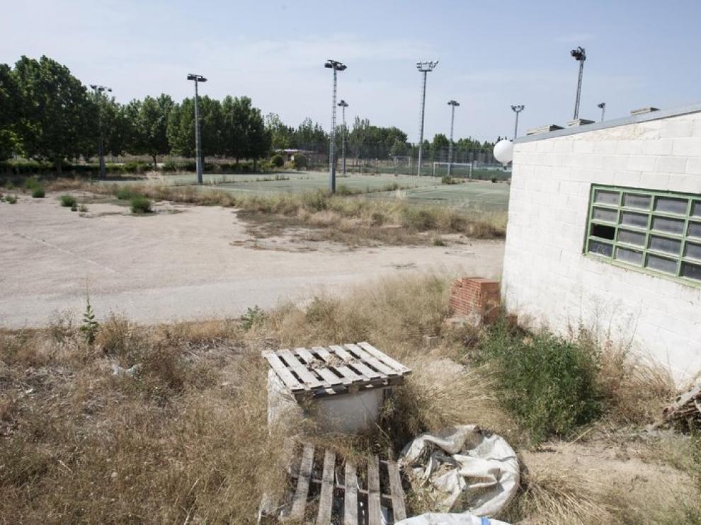 Hierbas en el entorno abandonado del Parque Deportivo Ebro
