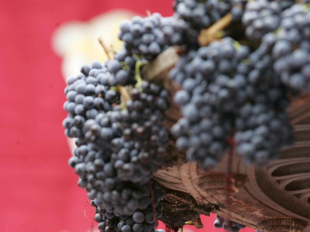 La garnacha