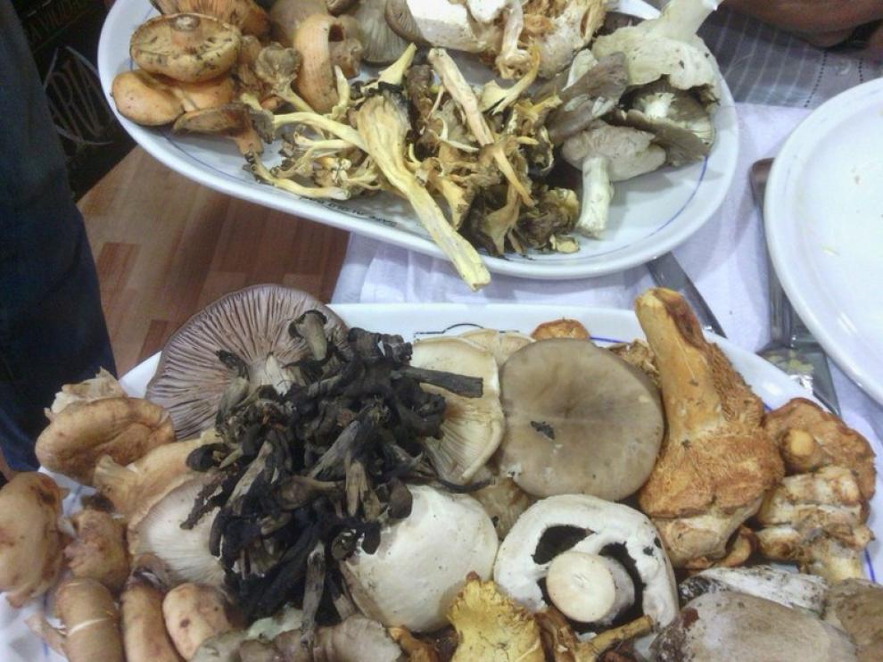 Las setas al natural, para regocijo de la vista y del olfato
