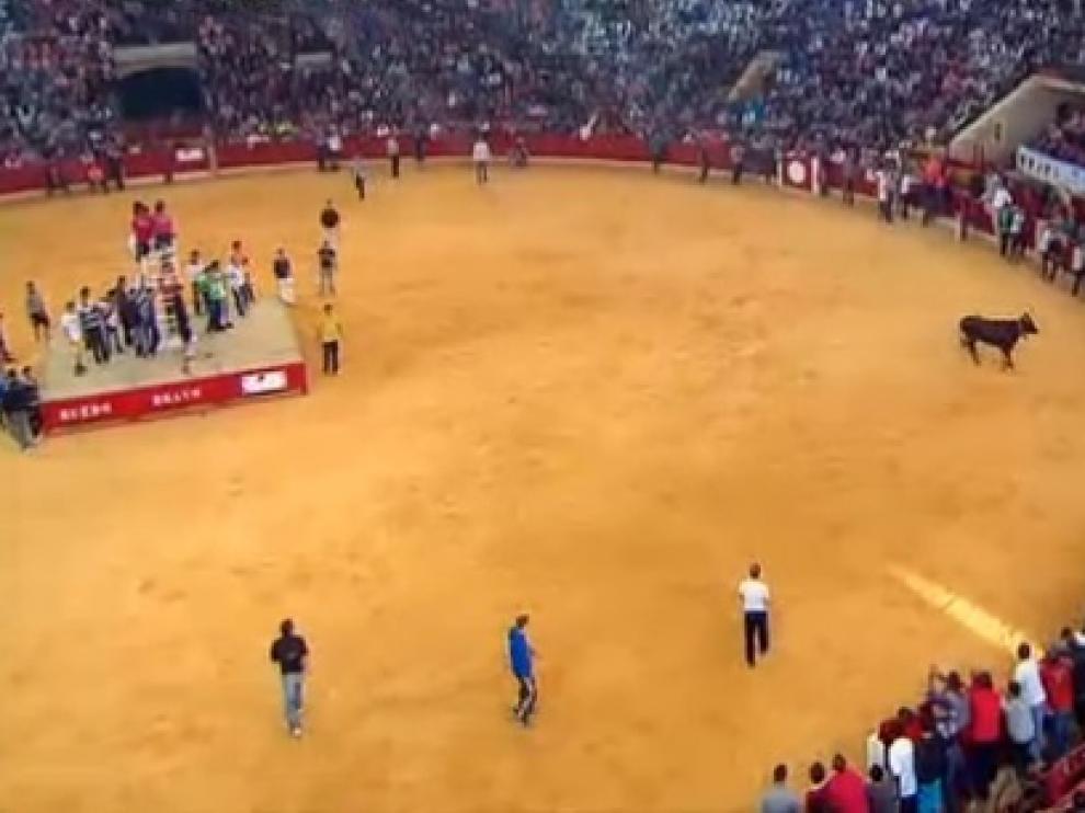 Mañana de Vaquillas