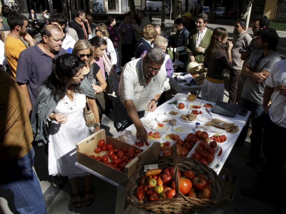 Una tomatada popular organizada por Slow Food en la plaza de San Pedro Nolasco