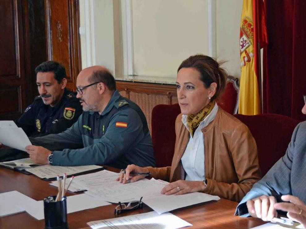 La subdelegada del Gobierno en Huesca, María Teresa Lacruz, en la presentación del plan