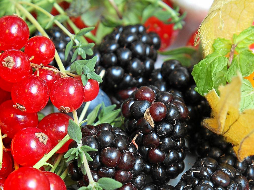 Moras, explosión de acidez y dulzor con recuerdos del bosque