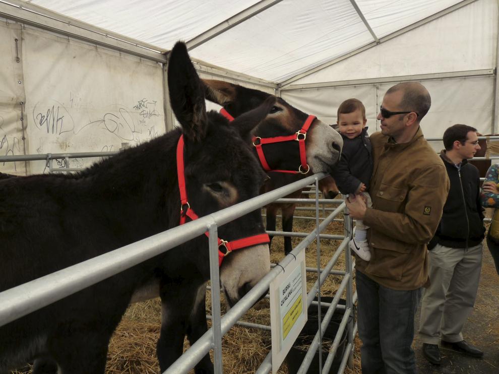 Feria de Biescas